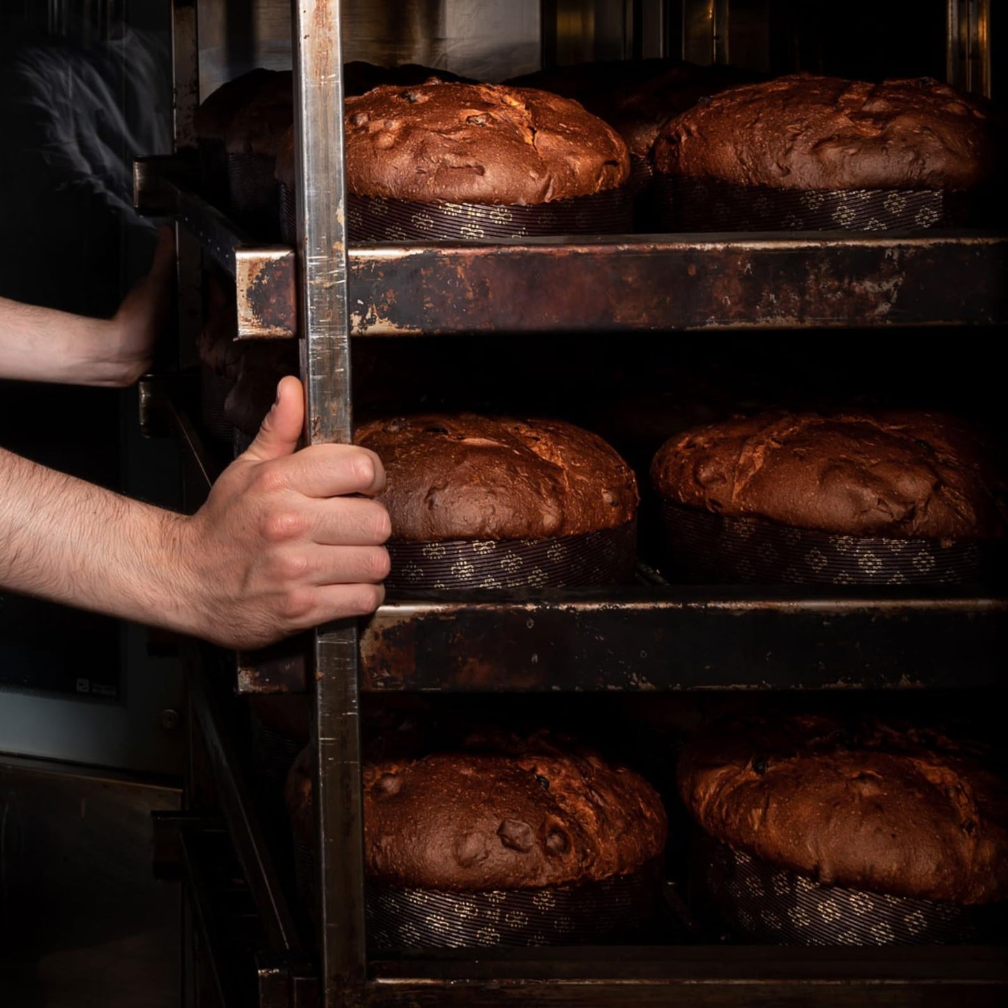 Fiasconaro Plain Pandoro Panettone Pandorato 750 Gram 26.45 Ounce