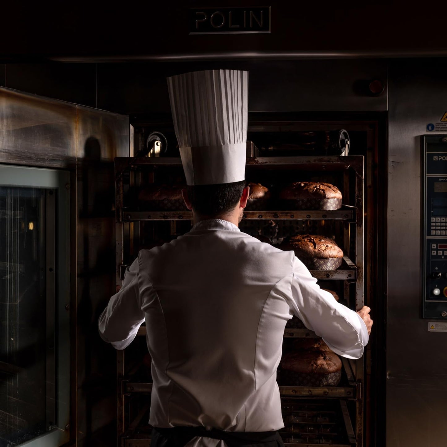 Fiasconaro Plain Pandoro Panettone Pandorato 750 Gram 26.45 Ounce